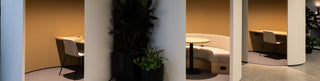 About page - George St office interior with seating area and plant.
