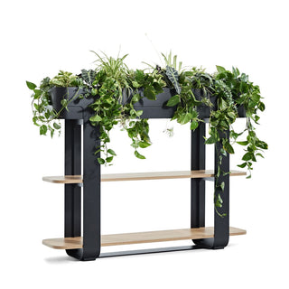 BastienHybrid093_RW-01 plant stand with shelves