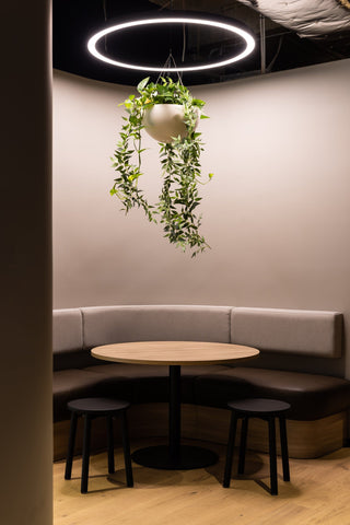 GEYER 201 George Street office seating area with hanging plant
