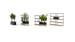 Modern shelving units with plants