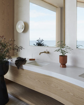 Bathroom with goblet planter and nutmeg accents
