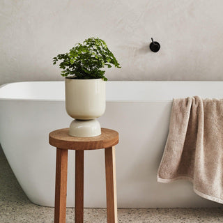 Goblet planter with fern on stool in bathroom