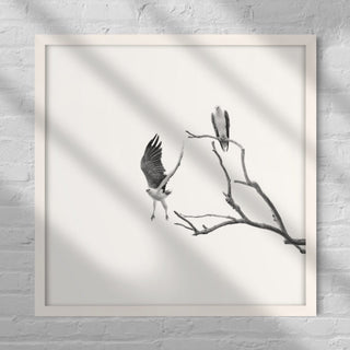 Two eagles on a branch, one taking flight.