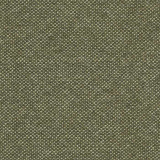 Acorn fabric texture in green