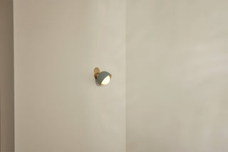 Marz Designs Terra articulating wall sconce in brass and opal.
