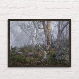 Morning fog in the Snowy Mountains framed art