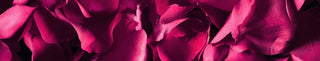 Viva Magenta color abstract background.