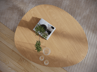 Pebble coffee table with plant and magazine