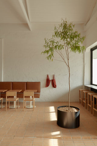Interior with tree in pot, tables, and seating.