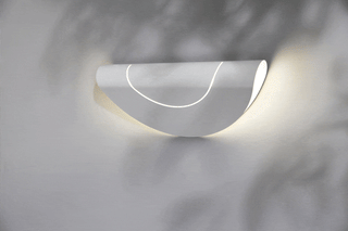 Image in .gif format (FURL_CIRCLE_WHITE_INSITU_1.gif)