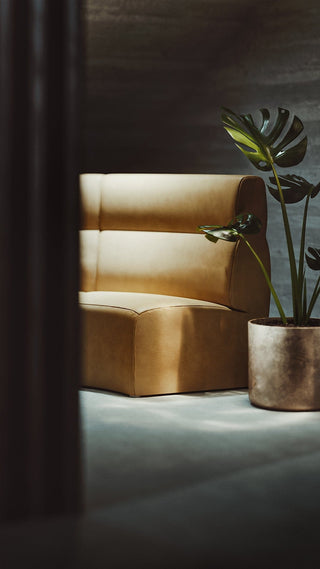yellow sofa and plant