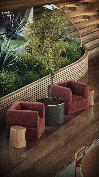 Two red chairs and a tree in a planter.